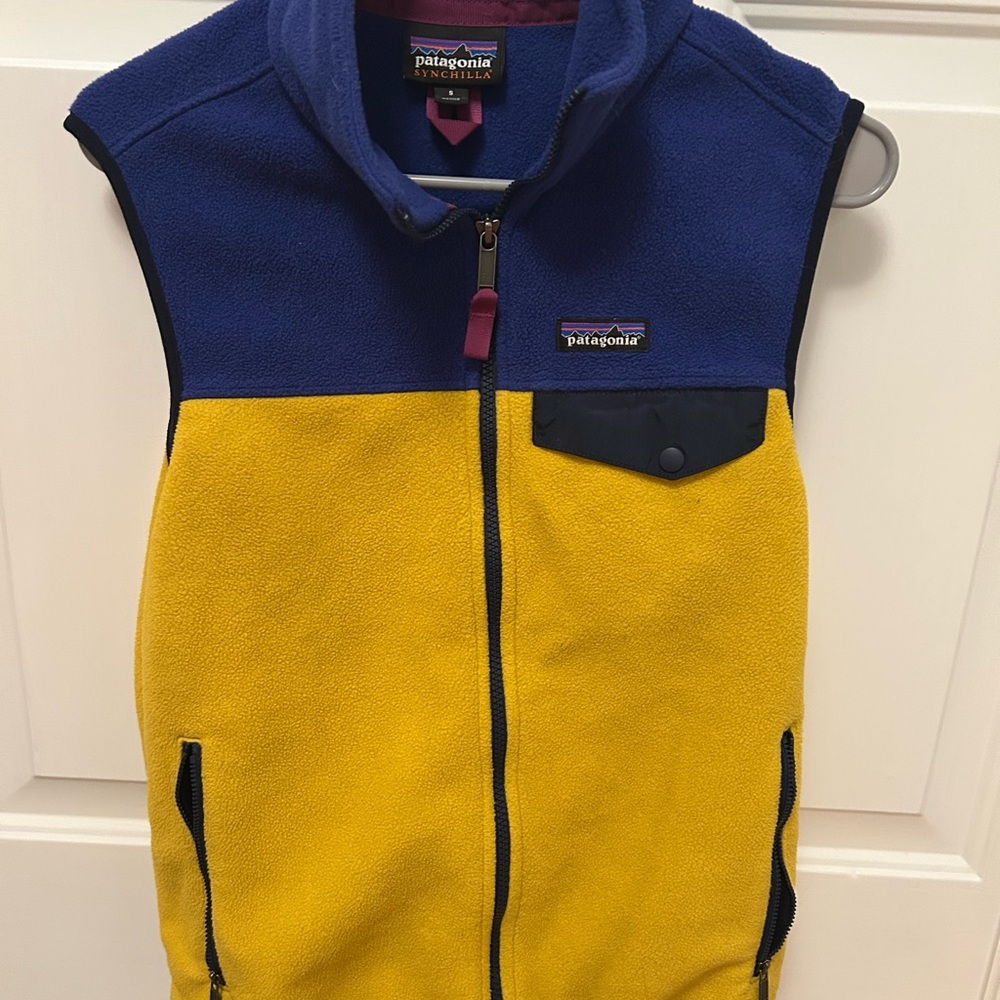 Patagonia Men’s Synchilla Vest